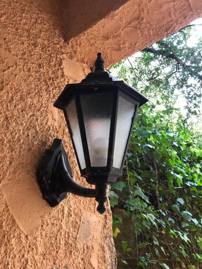 Hartmut Friedrich Apartment Puerto de Sóller Esterno foto